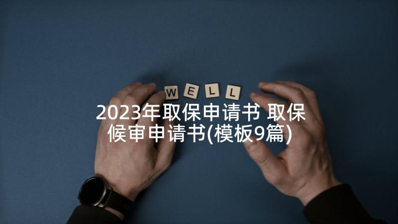 2023年取保申请书 取保候审申请书(模板9篇)