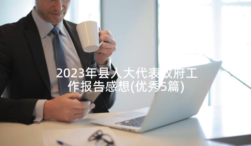 2023年县人大代表政府工作报告感想(优秀5篇)