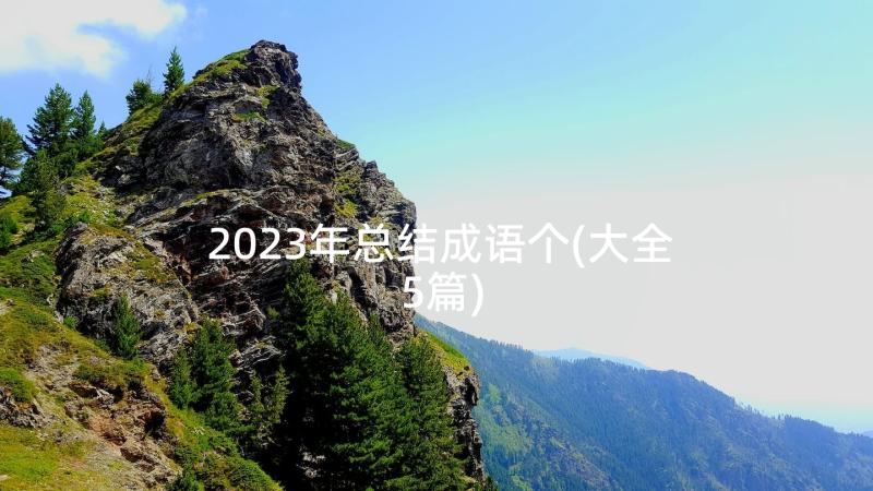 2023年总结成语个(大全5篇)