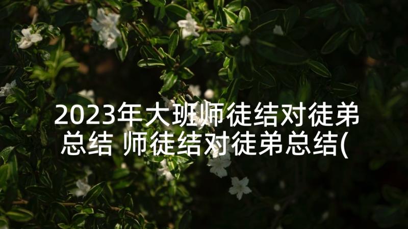 2023年大班师徒结对徒弟总结 师徒结对徒弟总结(汇总6篇)