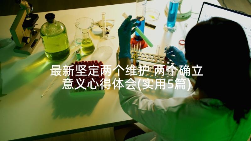 最新坚定两个维护 两个确立意义心得体会(实用5篇)