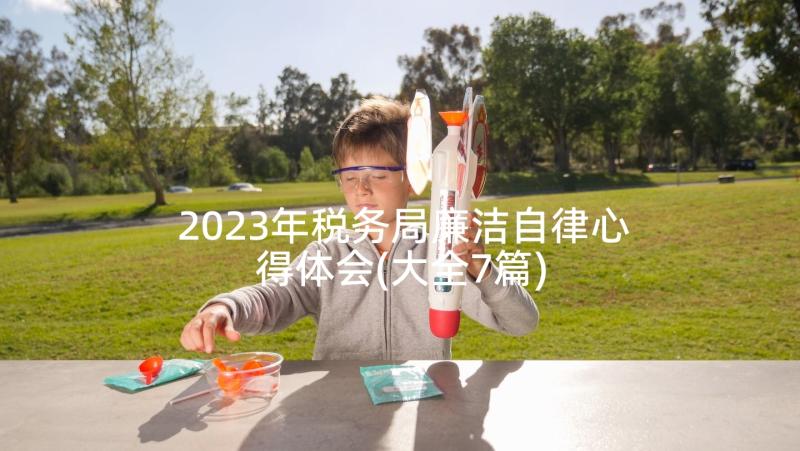 2023年税务局廉洁自律心得体会(大全7篇)