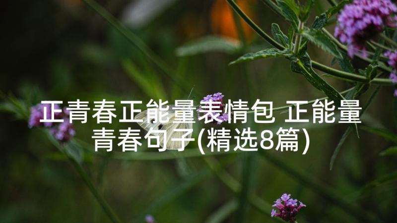 正青春正能量表情包 正能量青春句子(精选8篇)