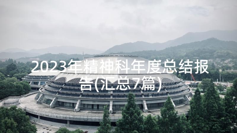 2023年精神科年度总结报告(汇总7篇)