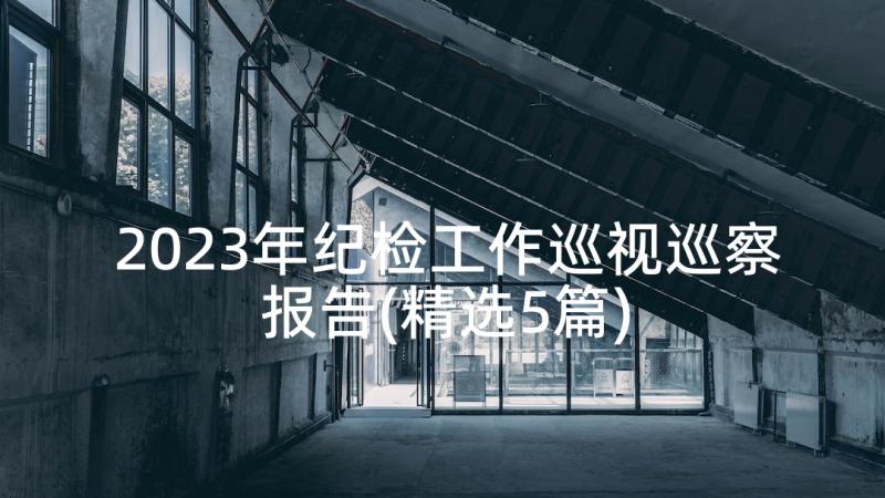 2023年纪检工作巡视巡察报告(精选5篇)