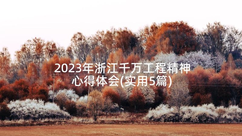 2023年浙江千万工程精神心得体会(实用5篇)