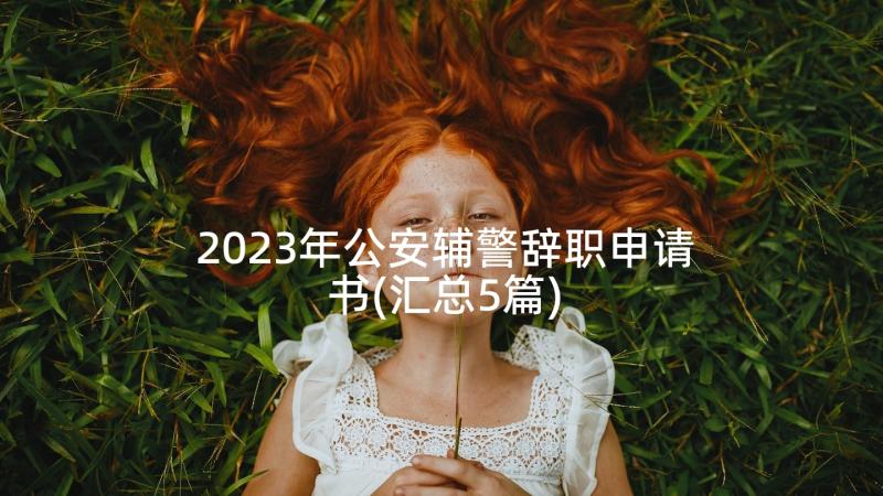 2023年公安辅警辞职申请书(汇总5篇)