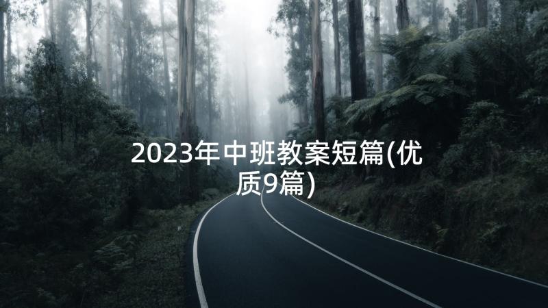 2023年中班教案短篇(优质9篇)