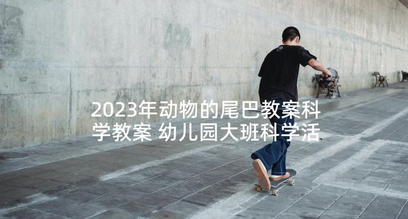 2023年动物的尾巴教案科学教案 幼儿园大班科学活动有趣的动物尾巴教案(通用5篇)