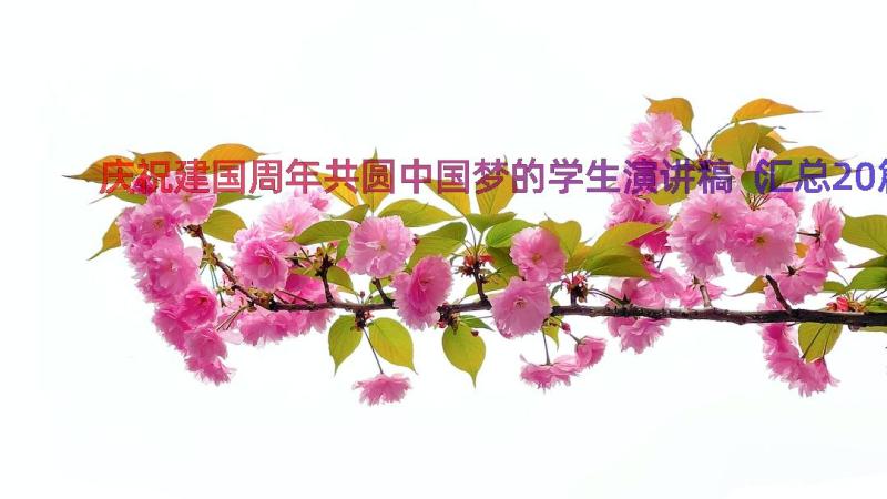 庆祝建国周年共圆中国梦的学生演讲稿（汇总20篇）