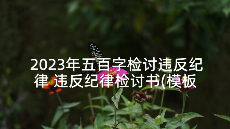 2023年五百字检讨违反纪律 违反纪律检讨书(模板6篇)