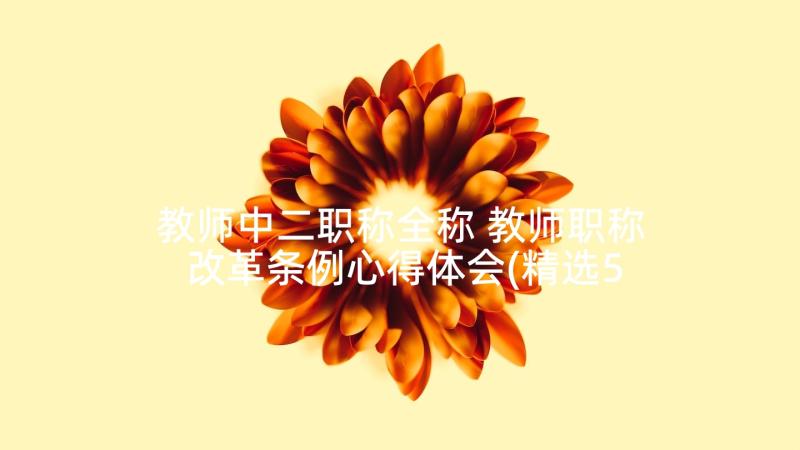 教师中二职称全称 教师职称改革条例心得体会(精选5篇)