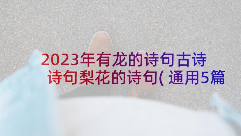 2023年有龙的诗句古诗 诗句梨花的诗句(通用5篇)