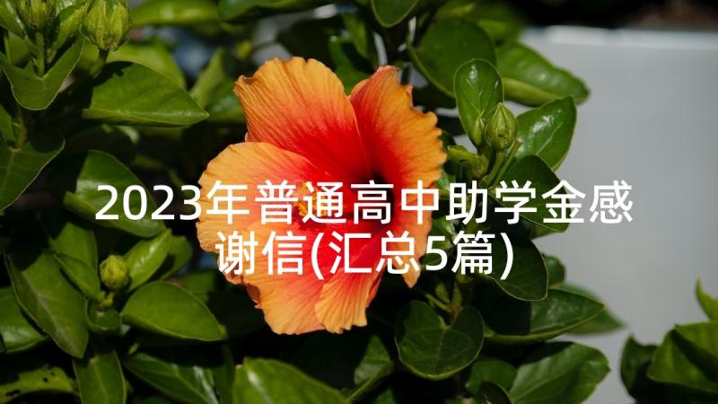 2023年普通高中助学金感谢信(汇总5篇)