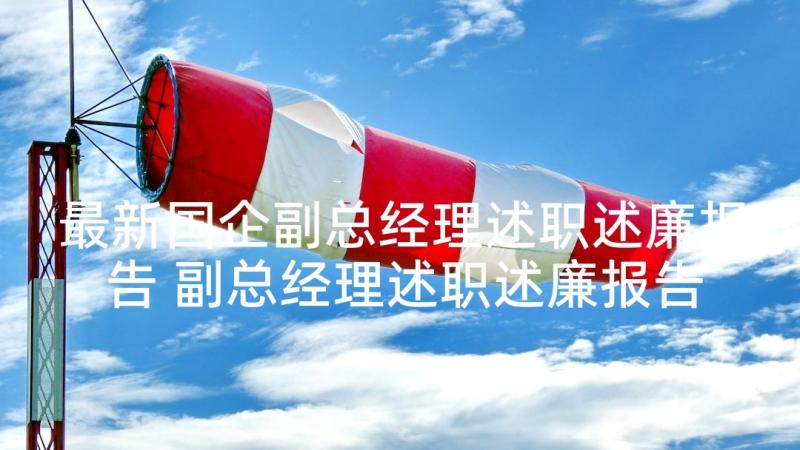 最新国企副总经理述职述廉报告 副总经理述职述廉报告(模板6篇)