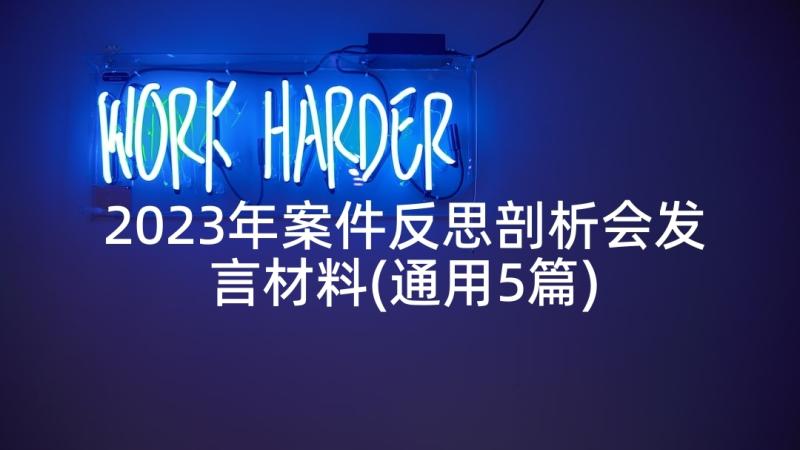 2023年案件反思剖析会发言材料(通用5篇)