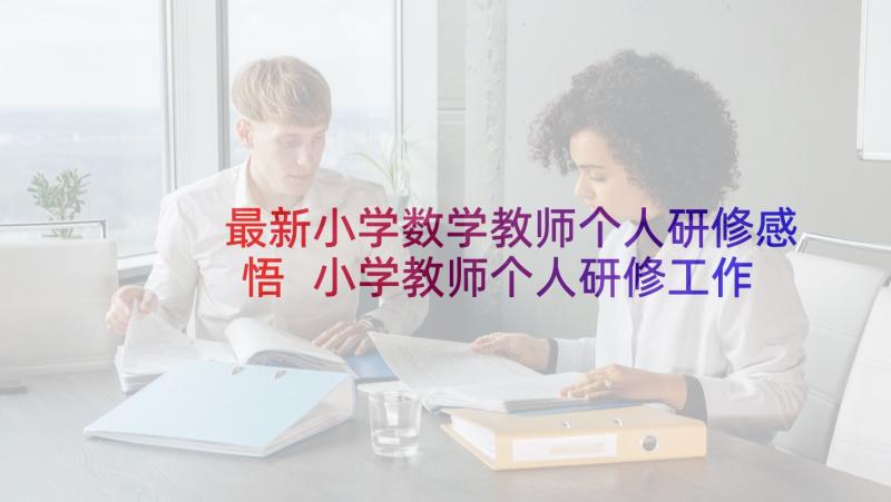 最新小学数学教师个人研修感悟 小学教师个人研修工作计划(大全8篇)