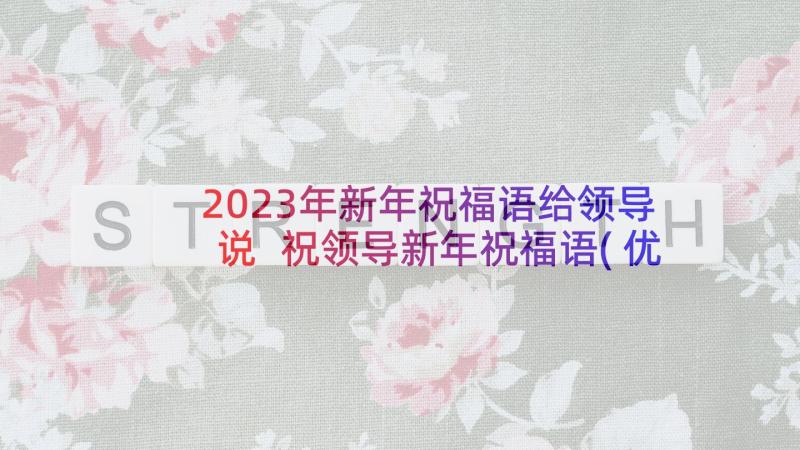 2023年新年祝福语给领导说 祝领导新年祝福语(优秀8篇)