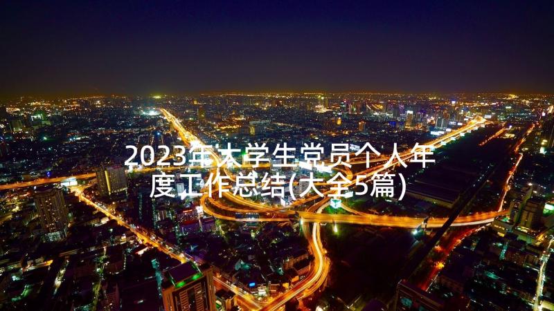 2023年大学生党员个人年度工作总结(大全5篇)