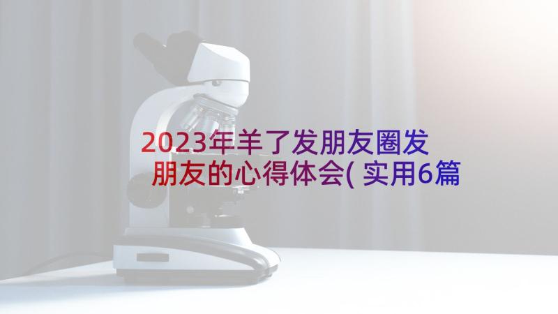 2023年羊了发朋友圈发 朋友的心得体会(实用6篇)