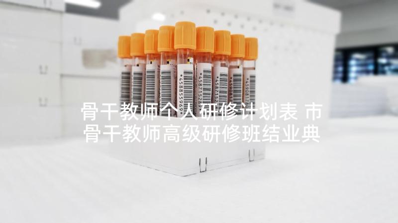 骨干教师个人研修计划表 市骨干教师高级研修班结业典礼上的发言稿(通用5篇)