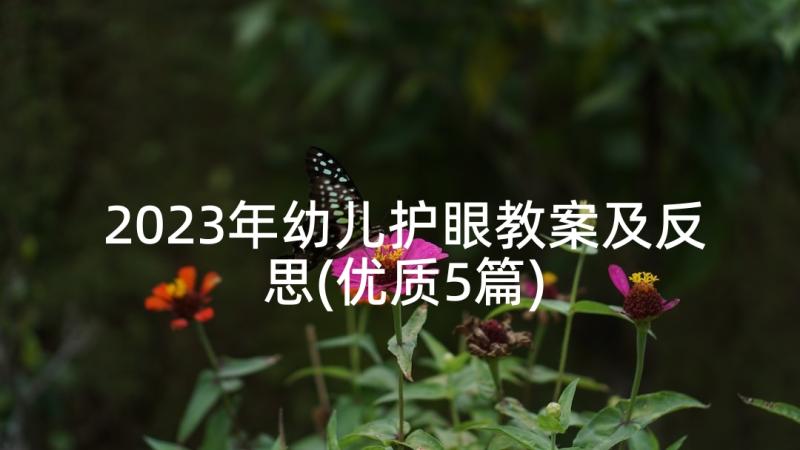 2023年幼儿护眼教案及反思(优质5篇)