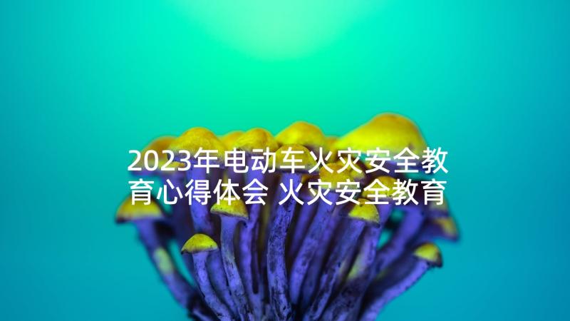 2023年电动车火灾安全教育心得体会 火灾安全教育心得体会(通用7篇)