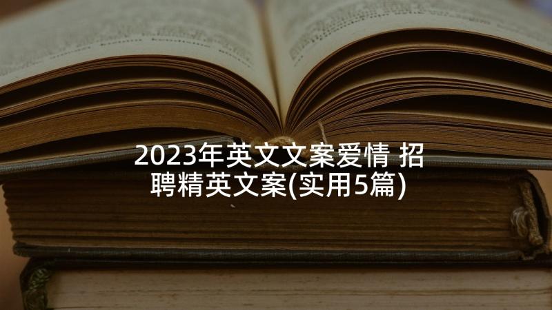 2023年英文文案爱情 招聘精英文案(实用5篇)