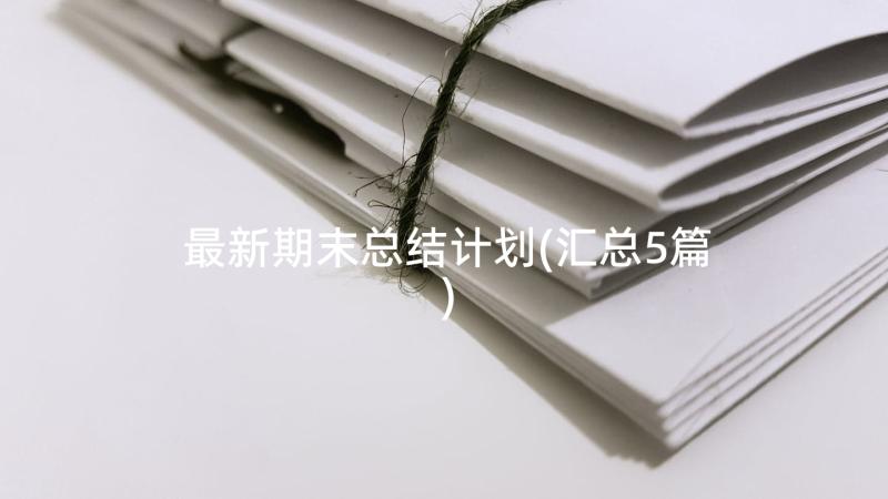 最新期末总结计划(汇总5篇)