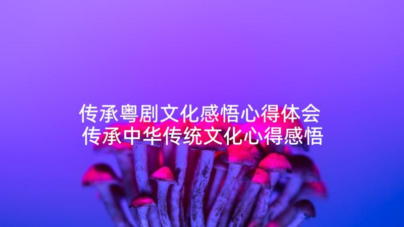 传承粤剧文化感悟心得体会 传承中华传统文化心得感悟(通用5篇)