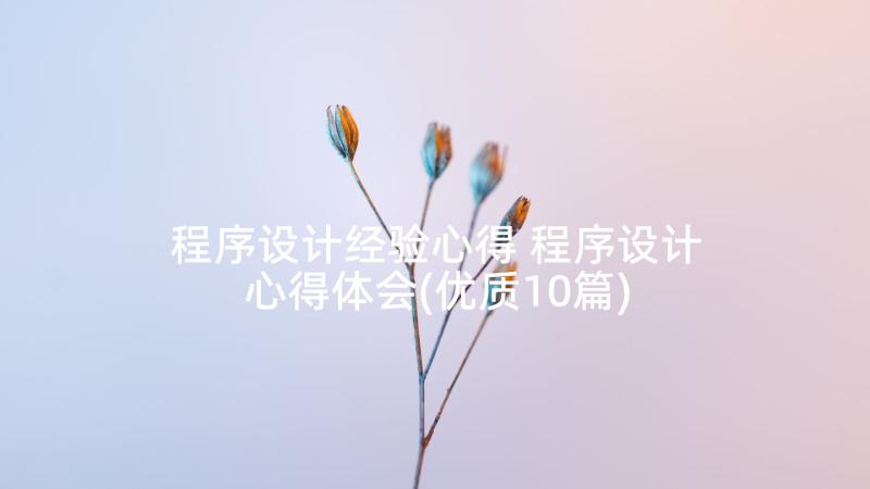 程序设计经验心得 程序设计心得体会(优质10篇)