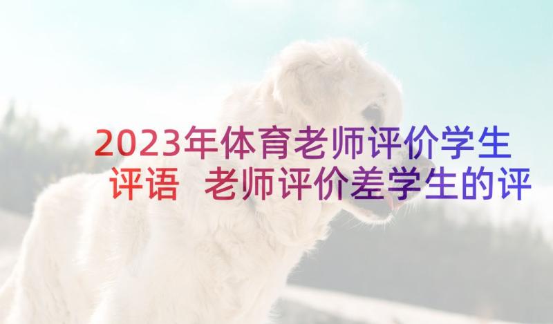 2023年体育老师评价学生评语 老师评价差学生的评语(通用6篇)