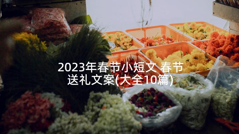 2023年春节小短文 春节送礼文案(大全10篇)