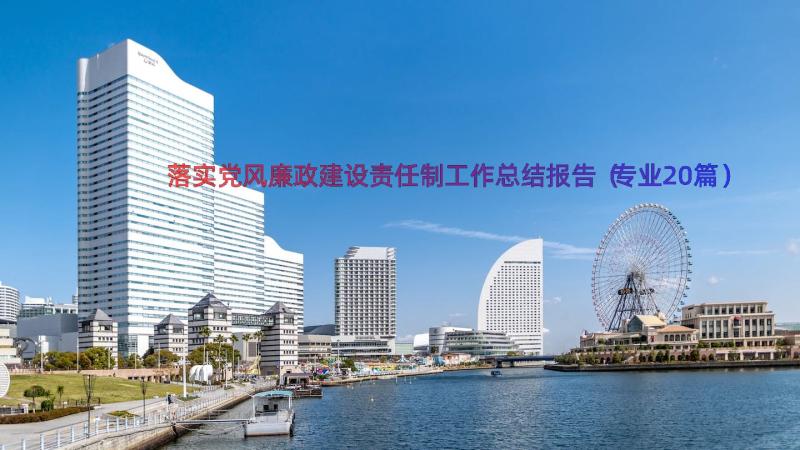 落实党风廉政建设责任制工作总结报告（专业20篇）