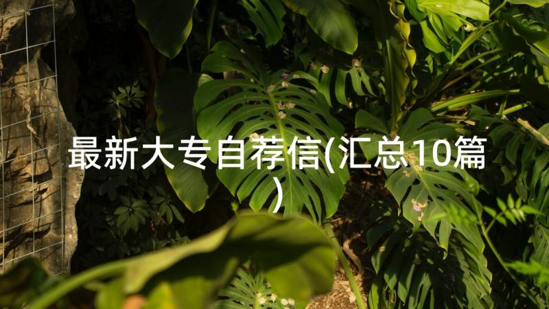 最新大专自荐信(汇总10篇)