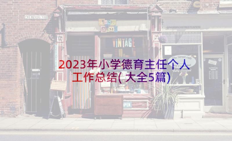 2023年小学德育主任个人工作总结(大全5篇)