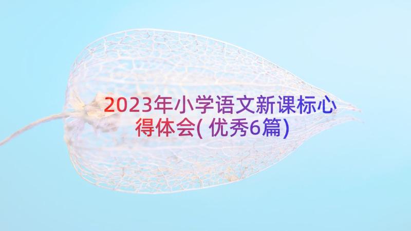 2023年小学语文新课标心得体会(优秀6篇)