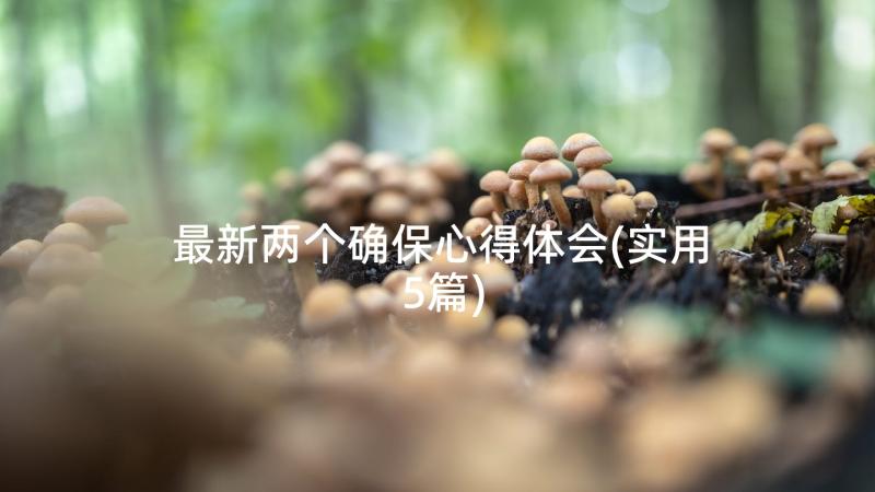 最新两个确保心得体会(实用5篇)