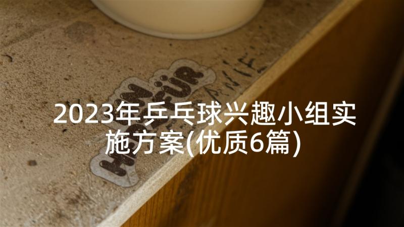 2023年乒乓球兴趣小组实施方案(优质6篇)