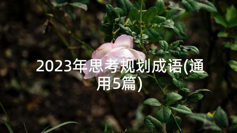 2023年思考规划成语(通用5篇)