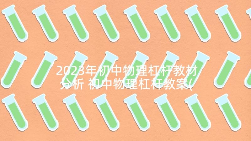 2023年初中物理杠杆教材分析 初中物理杠杆教案(优质5篇)