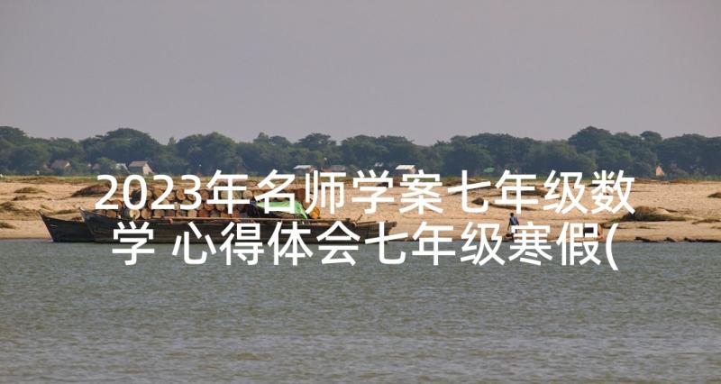 2023年名师学案七年级数学 心得体会七年级寒假(大全5篇)