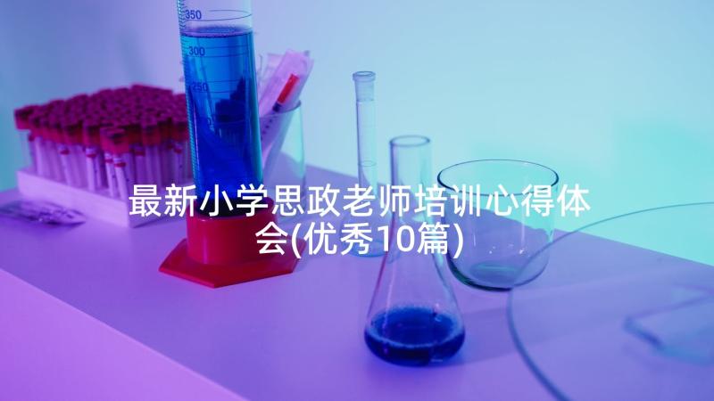 最新小学思政老师培训心得体会(优秀10篇)