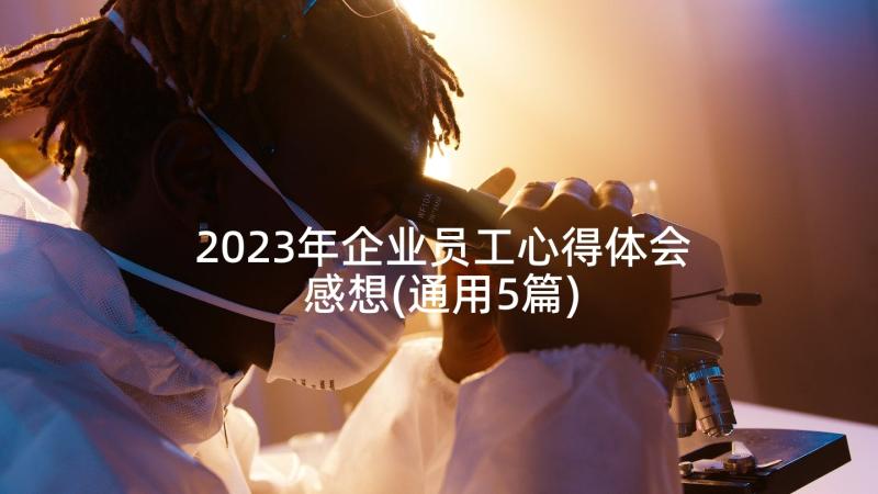 2023年企业员工心得体会感想(通用5篇)