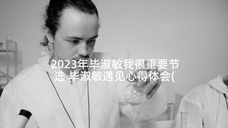 2023年毕淑敏我很重要节选 毕淑敏遇见心得体会(优秀5篇)