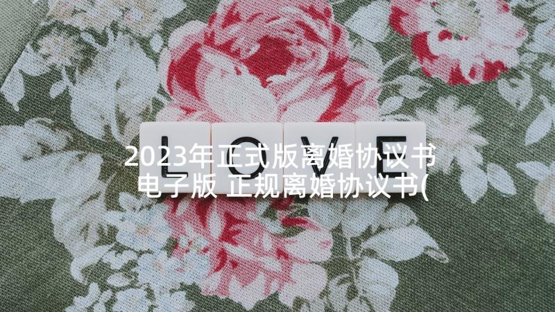 2023年正式版离婚协议书电子版 正规离婚协议书(模板9篇)