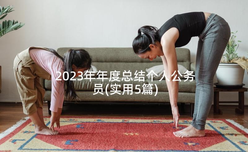 2023年年度总结个人公务员(实用5篇)