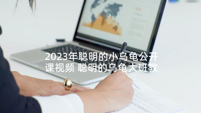 2023年聪明的小乌龟公开课视频 聪明的乌龟大班教案(模板8篇)