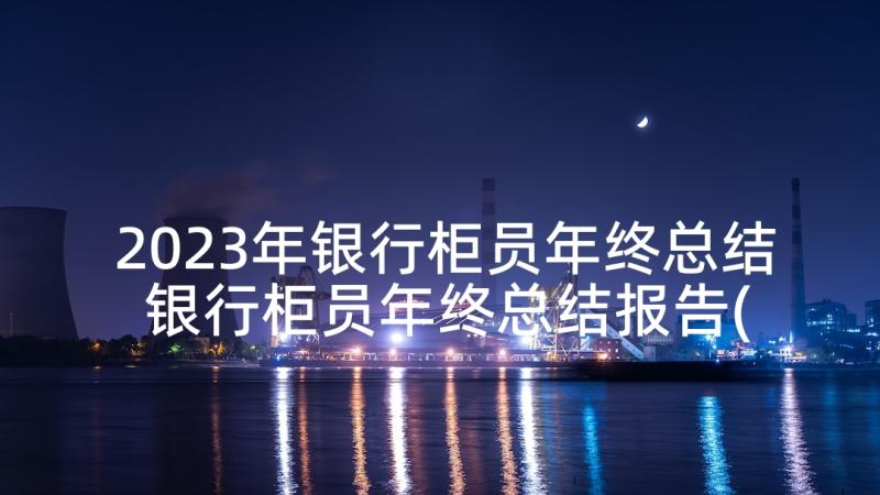 2023年银行柜员年终总结 银行柜员年终总结报告(汇总5篇)