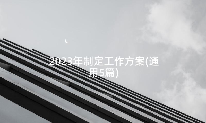 2023年制定工作方案(通用5篇)